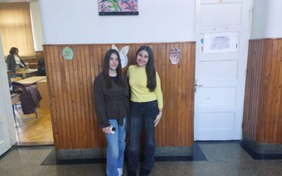 Uspjeh na županijskoj razini Natjecanja iz hrvatskoga jezika